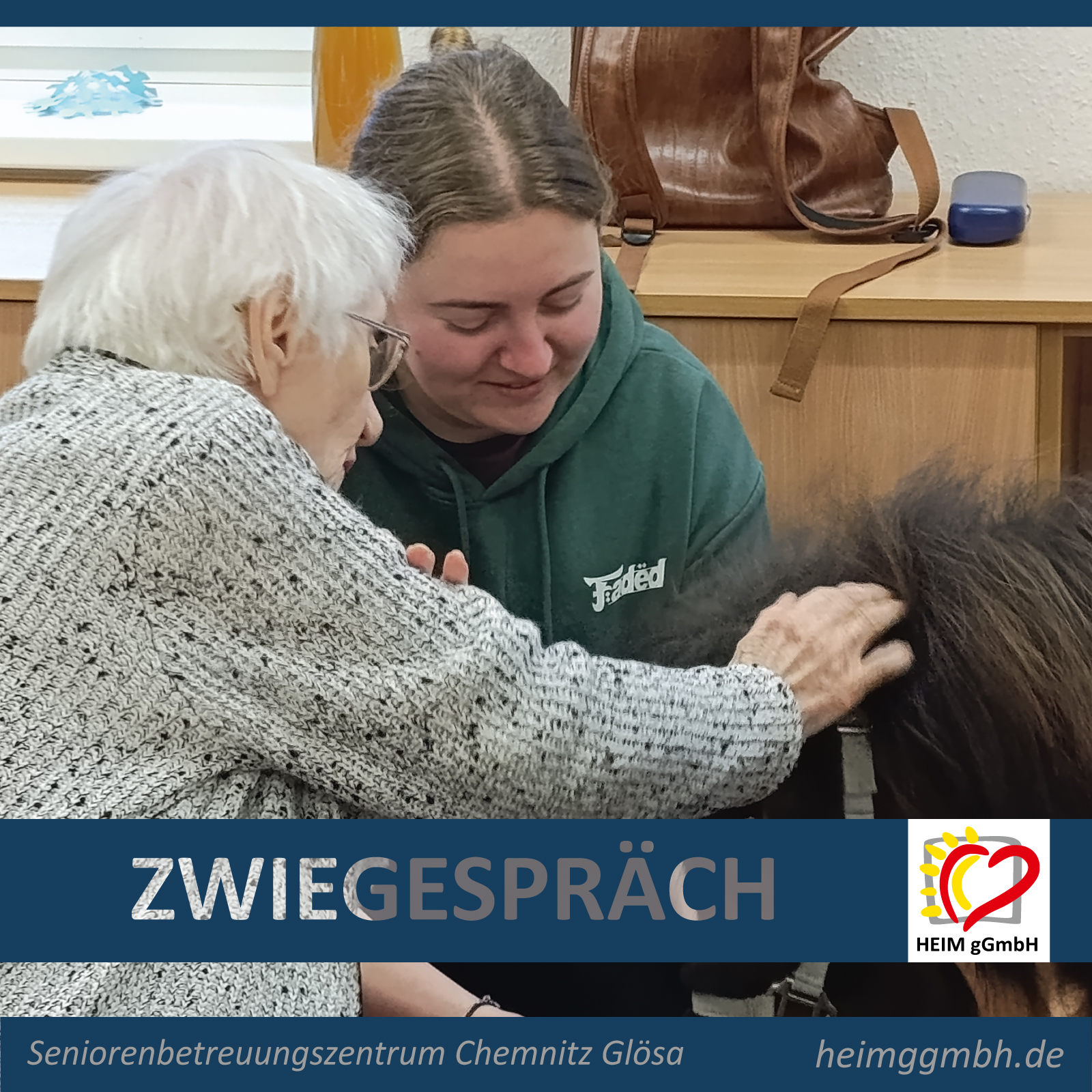 Seniorenbetreuungszentrum Chemnitz Glösa- Ponybesuch mit Streicheleinheiten und strahlenden Gesichtern war ein voller Erfolg.