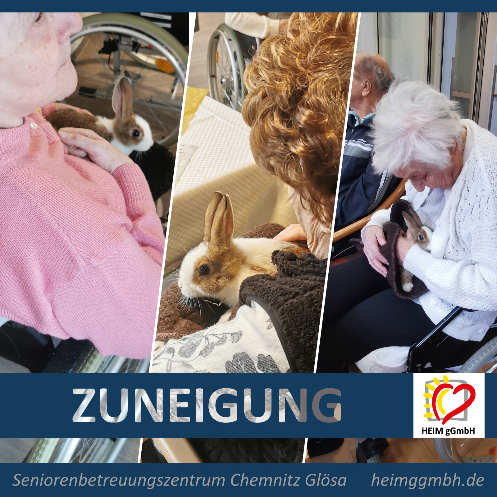 Seniorenbetreuungszentrum Chemnitz Glösa der HEIM gGmbH - Kaninchenbesuch mit Wärme, Zuneigung und Geborgenheit
