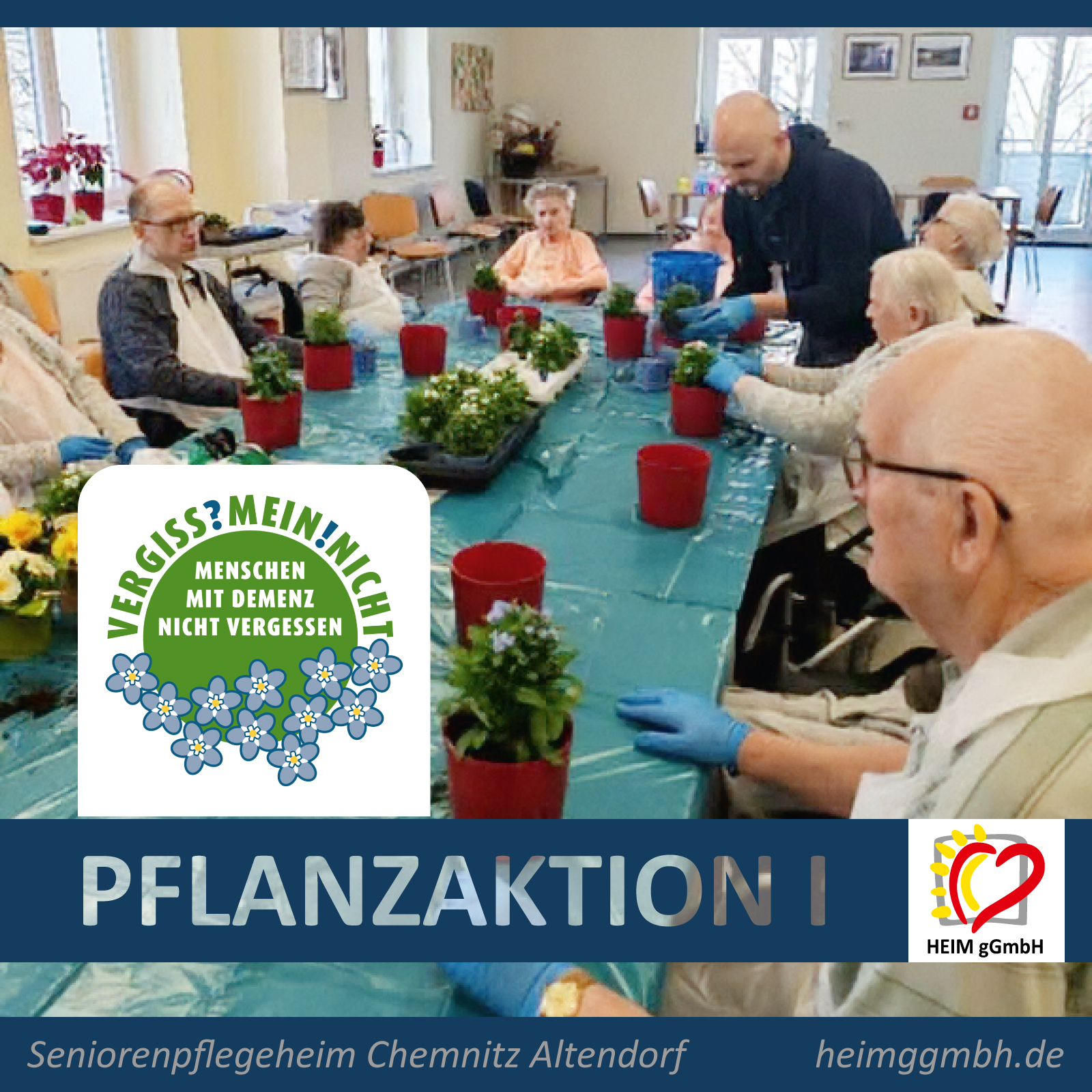 Rückblick auf die Pflanzaktion VERGISS!MEIN!NICHT I – Seniorenpflegeheim Altendorf der HEIM gGmbH in Chemnitz