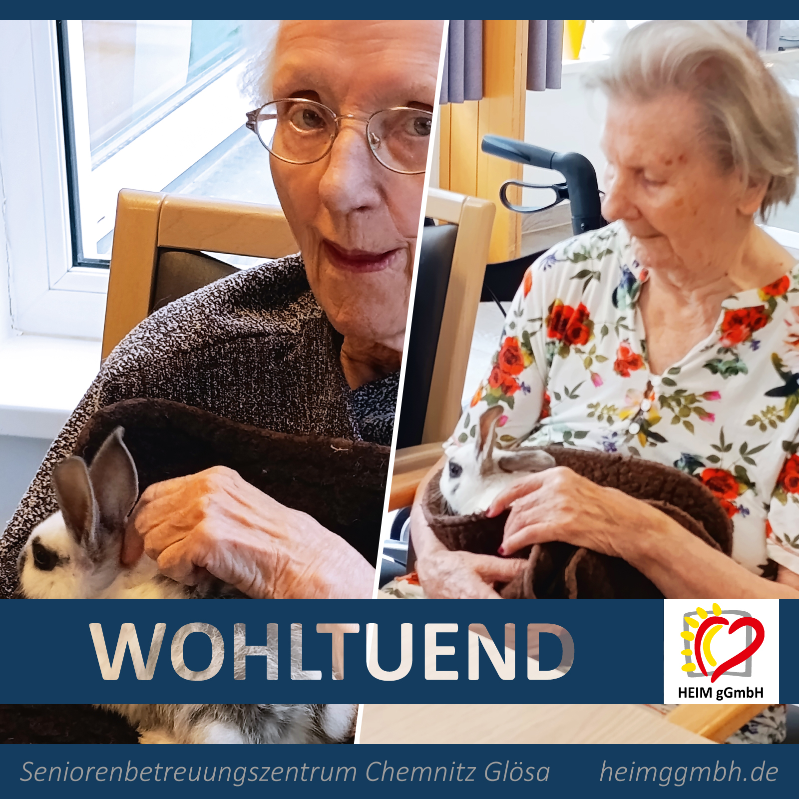 Seniorenbetreuungszentrum Chemnitz Glösa der HEIM gGmbH - Wohltuender Tierbesuch vond er nahe gelegenen Tierfarm.